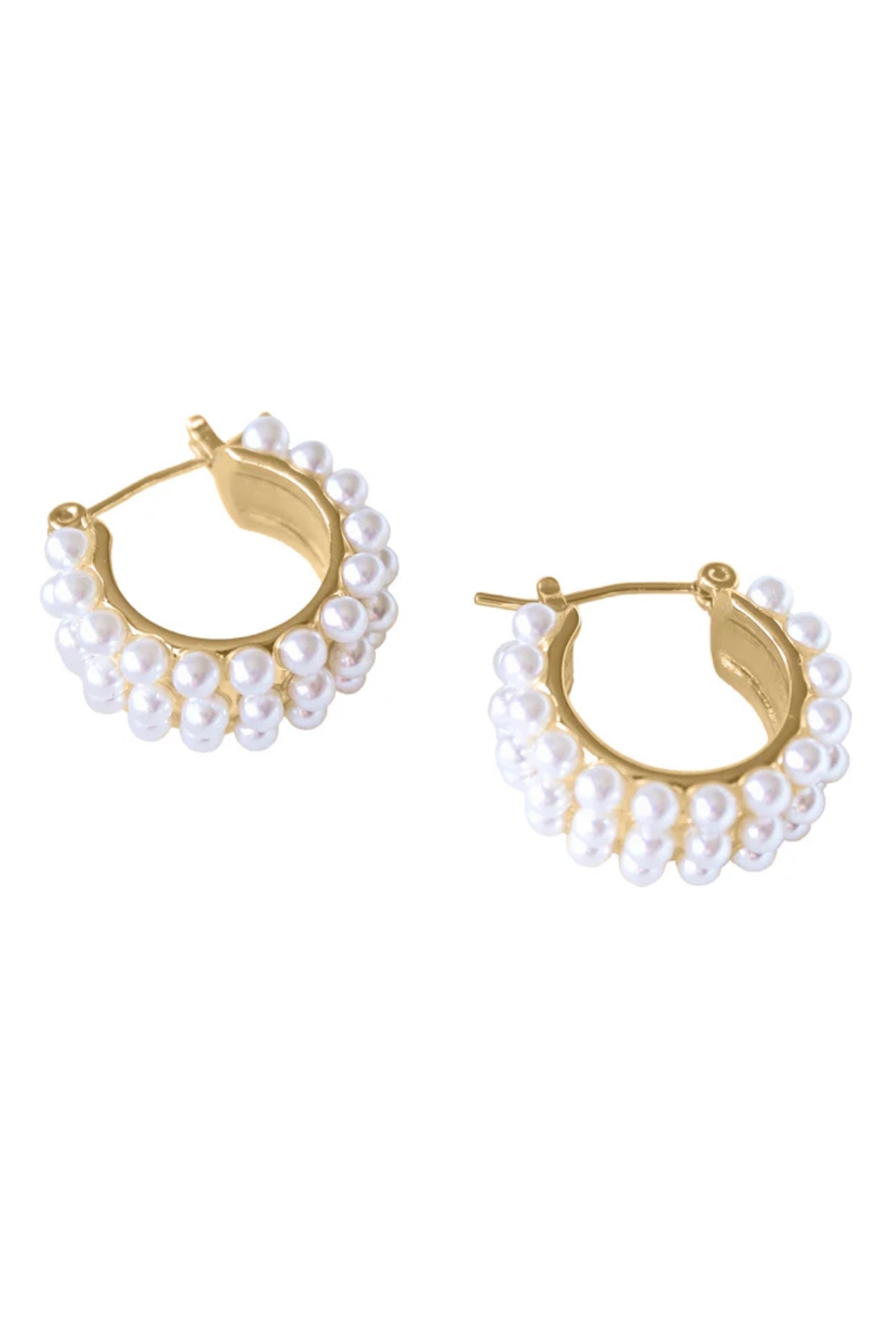 Hailey Hoop Earrings