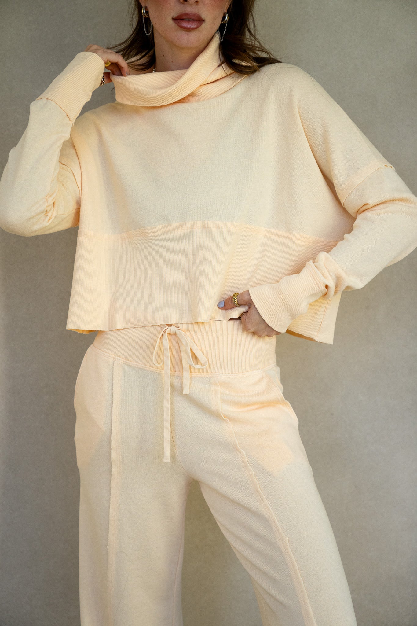 Terry Ribbed Turtleneck (Multiple Colors)