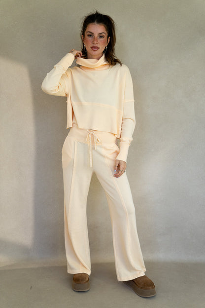 Terry Ribbed Turtleneck (Multiple Colors)