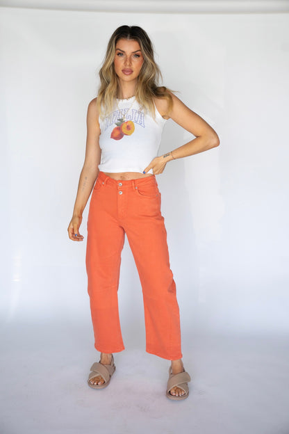 Sandy Mid Rise Barrel Jeans (Multiple Colors)
