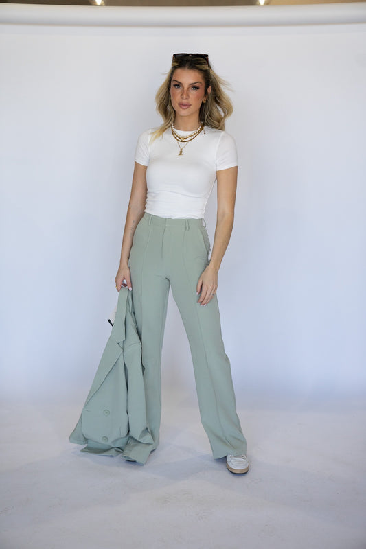 Pleated Trousers (multiple colors)
