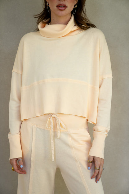 Terry Ribbed Turtleneck (Multiple Colors)