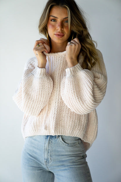 Plush Knit Hoodie (Multiple Colors)