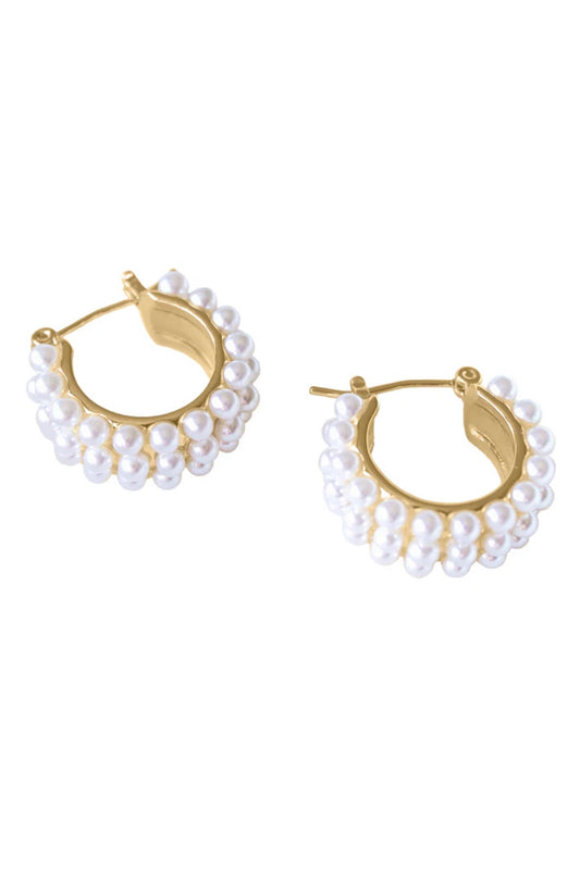 Hailey Hoop Earrings
