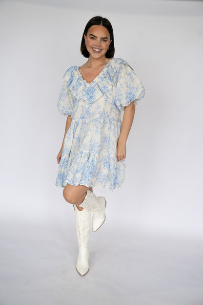 Bluebell Toile Ruffle Mini