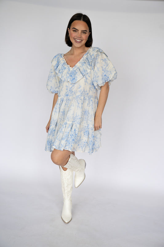 Bluebell Toile Ruffle Mini