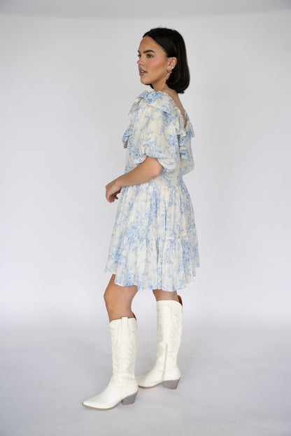 Bluebell Toile Ruffle Mini