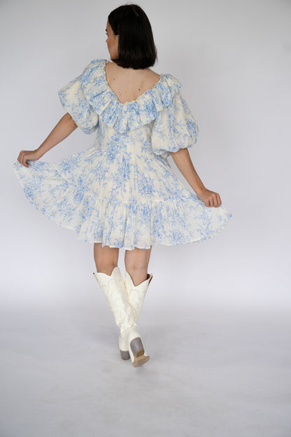Bluebell Toile Ruffle Mini