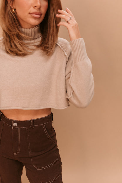 Trendy Turtle Neck Sweater (Multiple Colors)