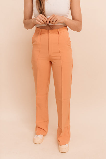Pleated Trousers (multiple colors)
