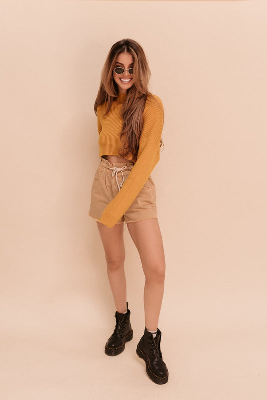 Tena Crop Turtle Neck (Multiple Colors)