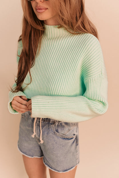 Tena Crop Turtle Neck (Multiple Colors)