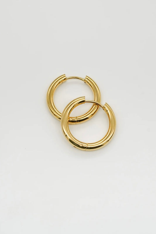 Dainty Gold Hoops